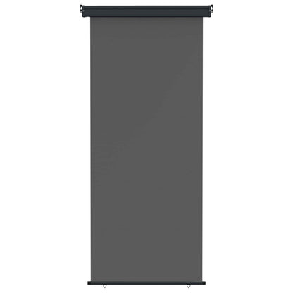 vidaXL Balcony Side Awning 60 x 250 cm 100% polyester iron steel