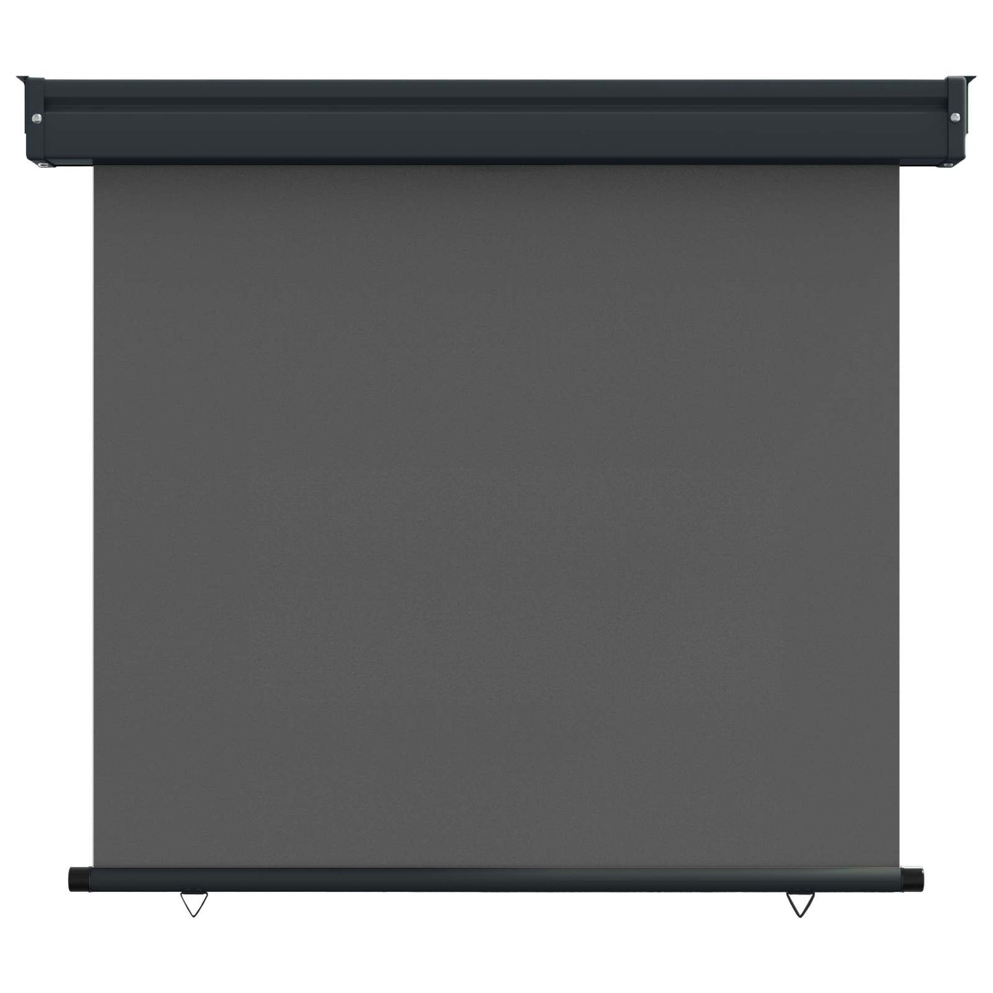 vidaXL Balcony Side Awning 60 x 250 cm 100% polyester iron steel