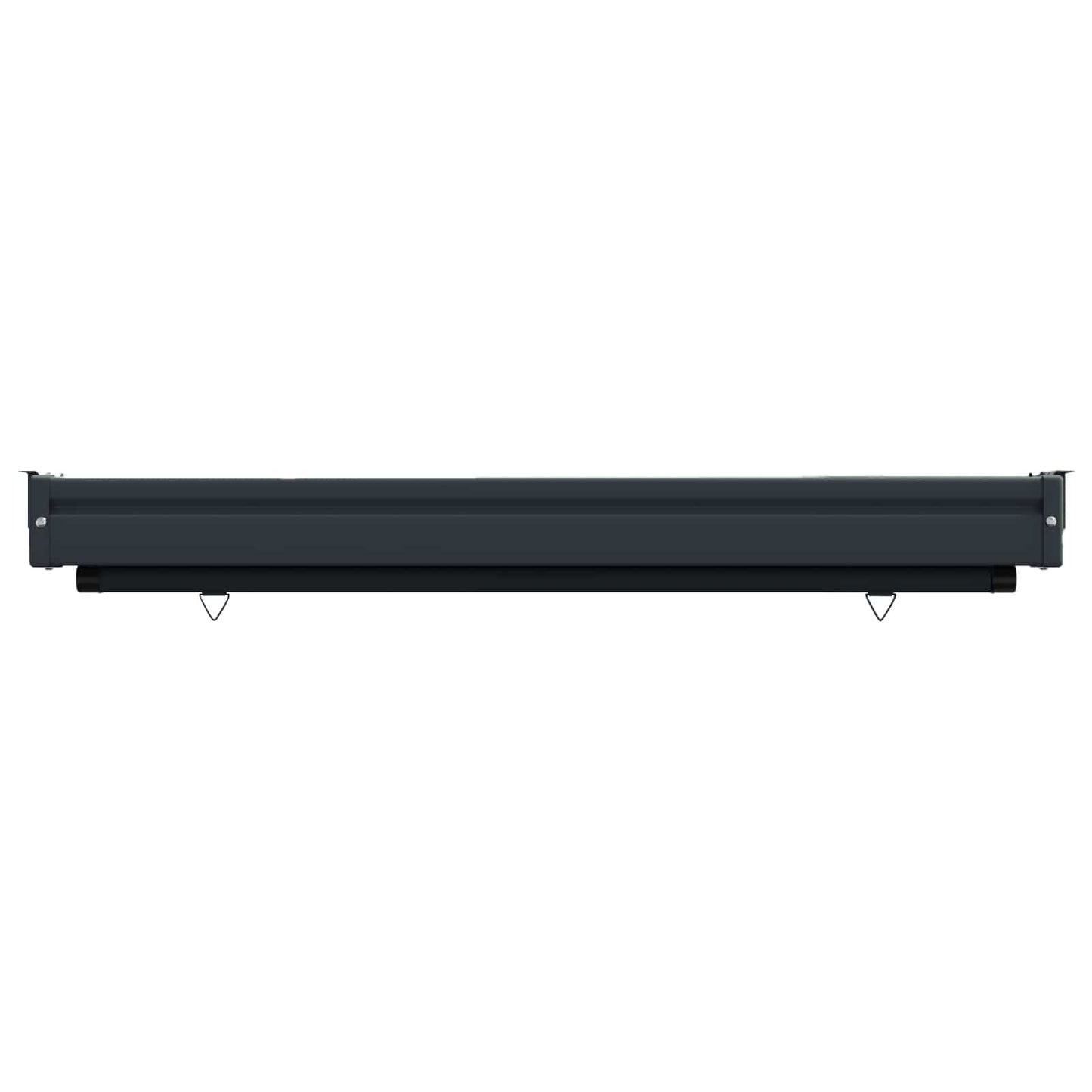 vidaXL Balcony Side Awning 60 x 250 cm 100% polyester iron steel