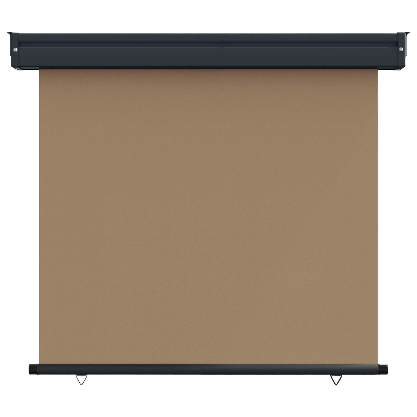vidaXL Balcony Side Awning 100 x 250 cm 100% polyester iron steel
