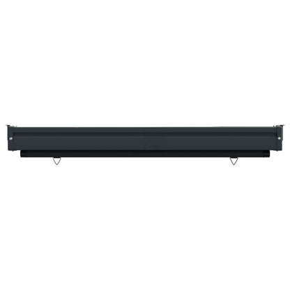 vidaXL Balcony Side Awning 100 x 250 cm 100% polyester iron steel