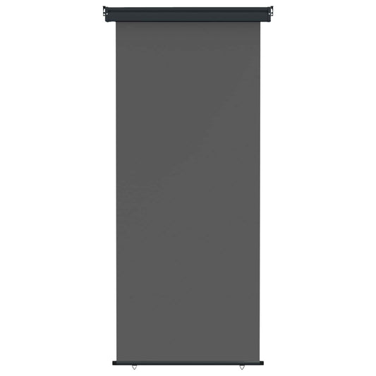vidaXL Balcony Side Awning 100 x 250 cm 100% polyester iron steel