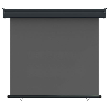 vidaXL Balcony Side Awning 100 x 250 cm 100% polyester iron steel