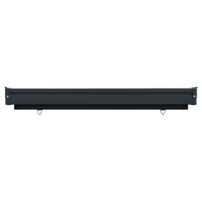 vidaXL Balcony Side Awning 100 x 250 cm 100% polyester iron steel