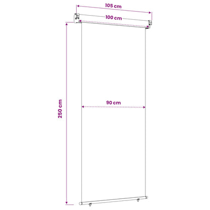 vidaXL Balcony Side Awning 100 x 250 cm 100% polyester iron steel