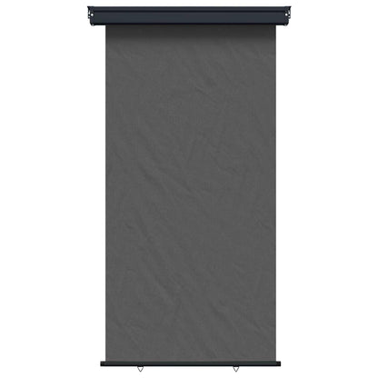 vidaXL Balcony Side Awning 117 x 250 cm 100% polyester iron steel