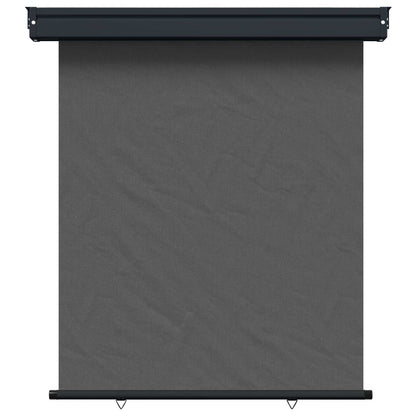vidaXL Balcony Side Awning 117 x 250 cm 100% polyester iron steel