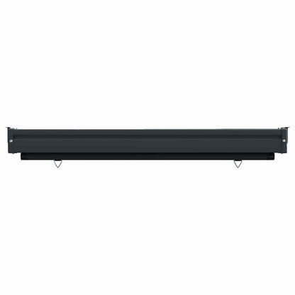 vidaXL Balcony Side Awning 117 x 250 cm 100% polyester iron steel