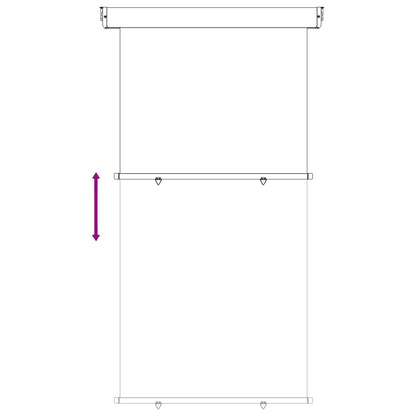 vidaXL Balcony Side Awning 117 x 250 cm 100% polyester iron steel