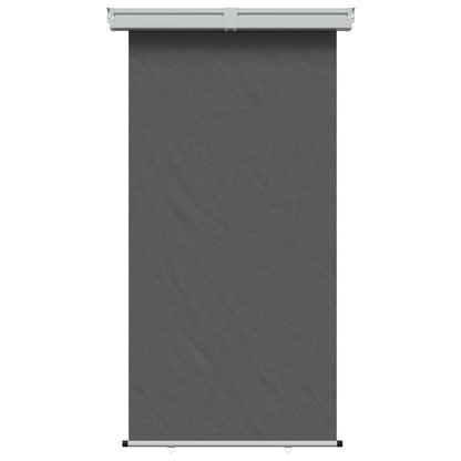 vidaXL Balcony Side Awning 100% polyester iron steel