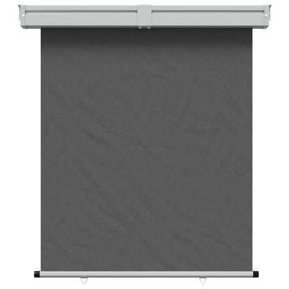 vidaXL Balcony Side Awning 100% polyester iron steel
