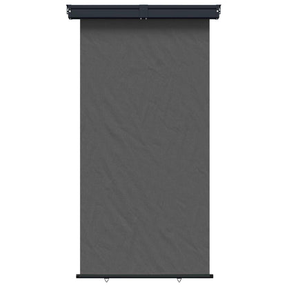 vidaXL Balcony Side Awning 170 x 250 cm 100% polyester iron steel