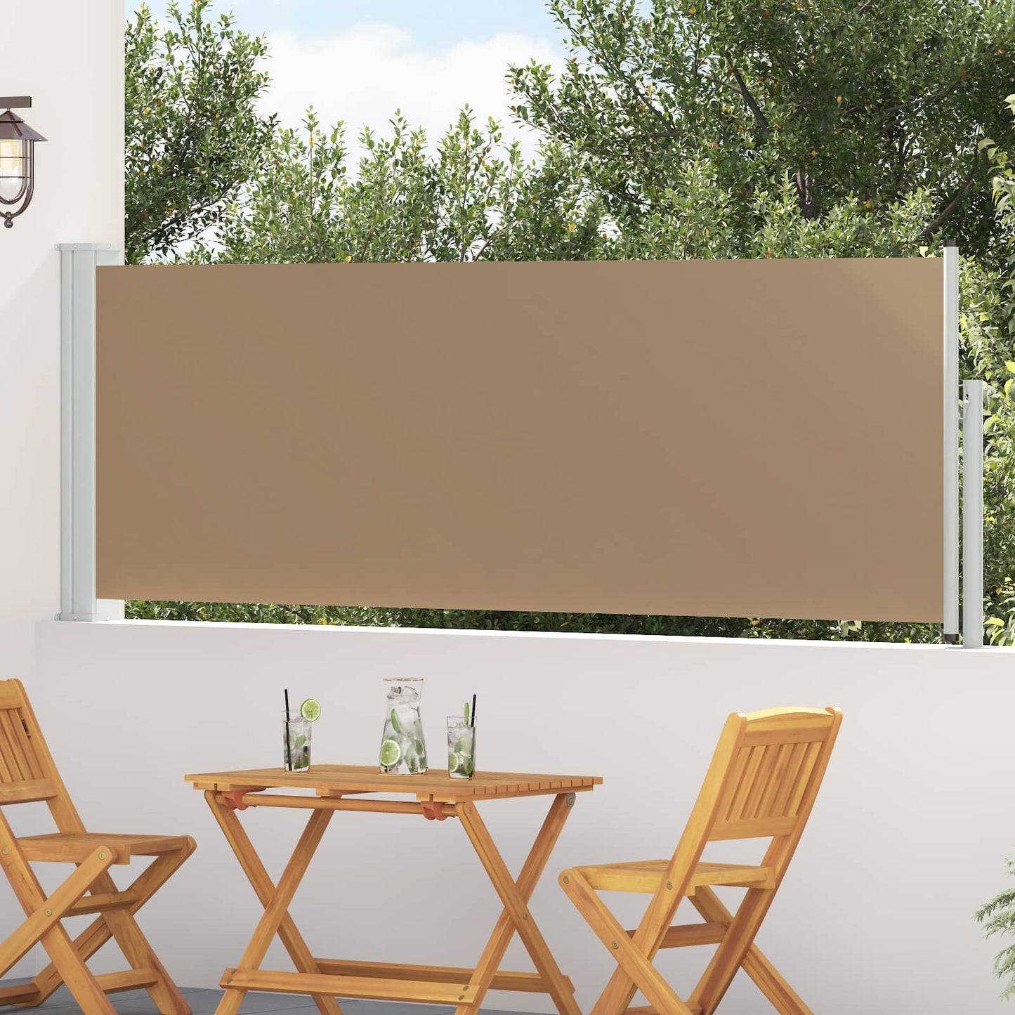 vidaXL Retractable Side Awning Taupe 300 x 100 cm Polyester