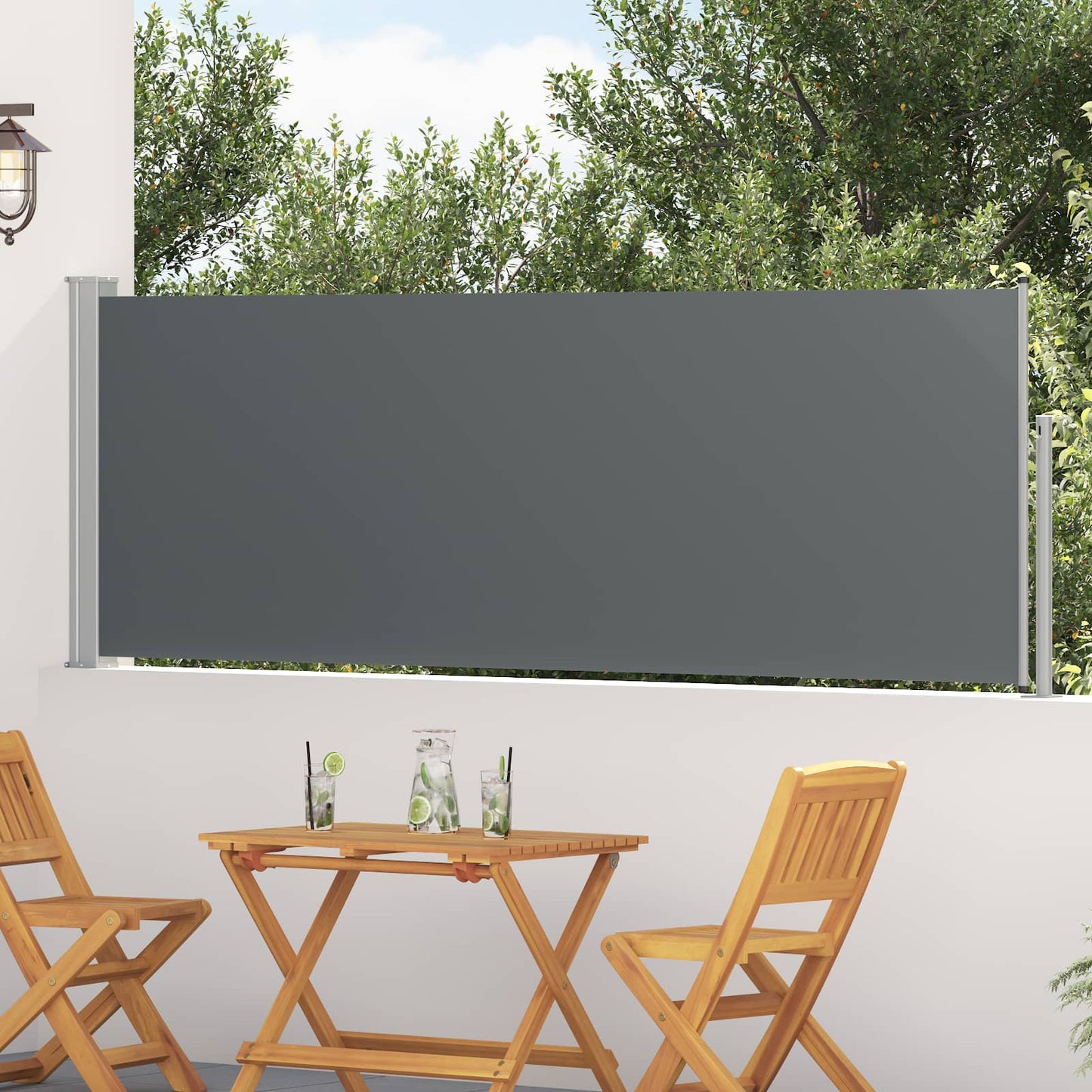 vidaXL Retractable Side Awning Anthracite 300 x 100 cm Polyester