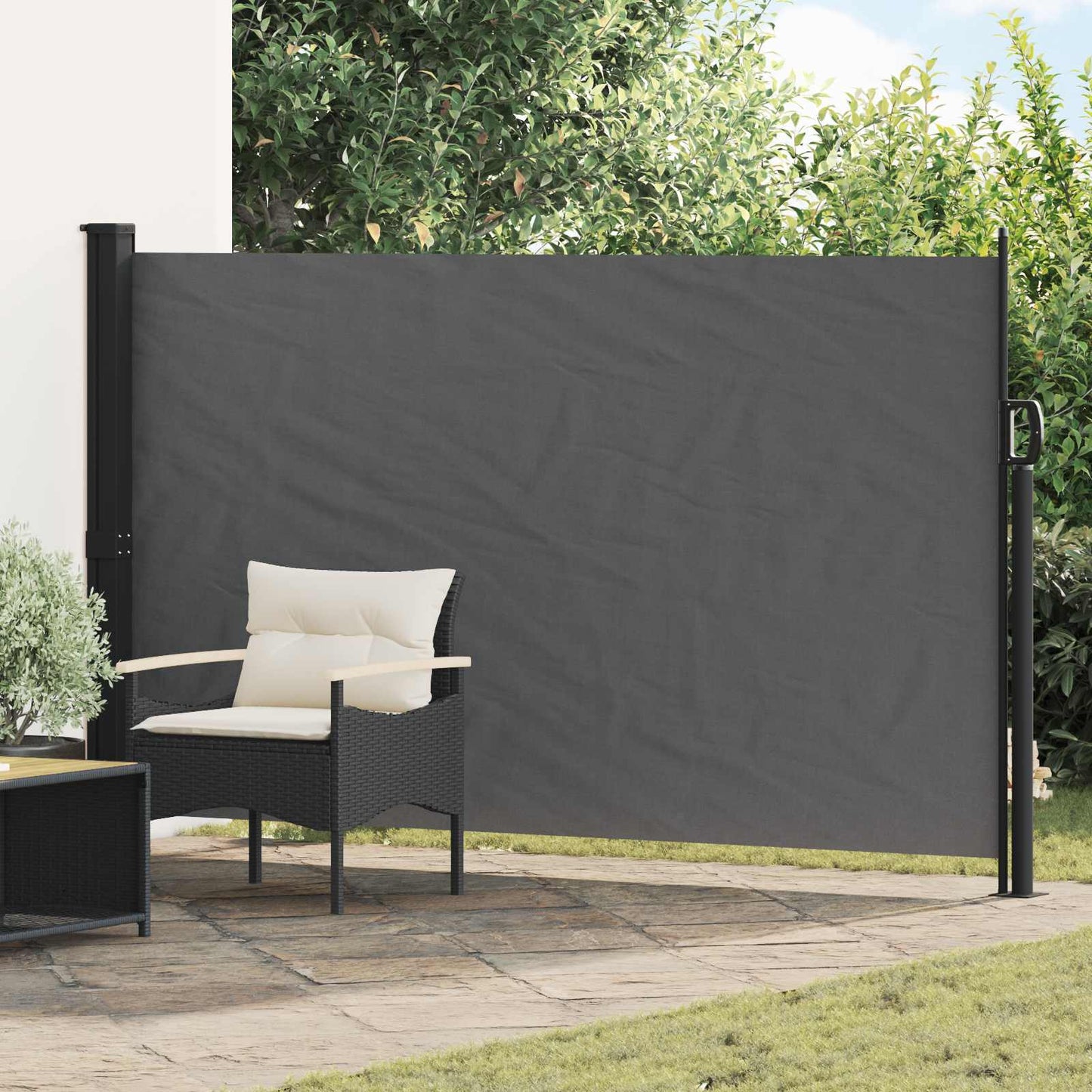 vidaXL Retractable Side Awning Anthracite 300 x 170 cm Polyester