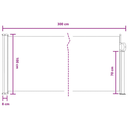 vidaXL Retractable Side Awning Black 300 x 100 cm Polyester