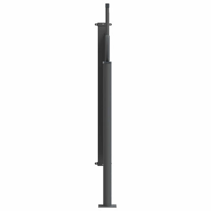 vidaXL Retractable Side Awning 100 x 300 cm 100% polyester iron steel