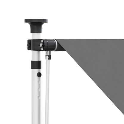 vidaXL Manual Retractable Awning Light Grey 300 cm
