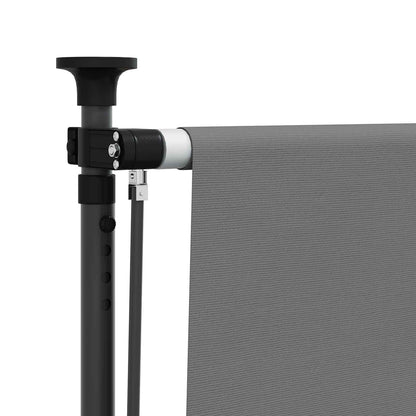 vidaXL Outdoor Roller Blind Light Grey 100 x 270 cm
