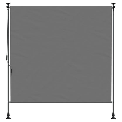 vidaXL Outdoor Roller Blind Light Grey 100 x 270 cm