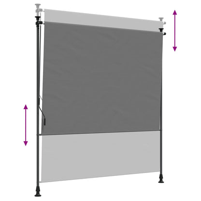 vidaXL Outdoor Roller Blind Light Grey 100 x 270 cm