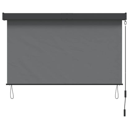 vidaXL Roller Blind Light Grey 60 x 250 cm Fabric and Aluminum