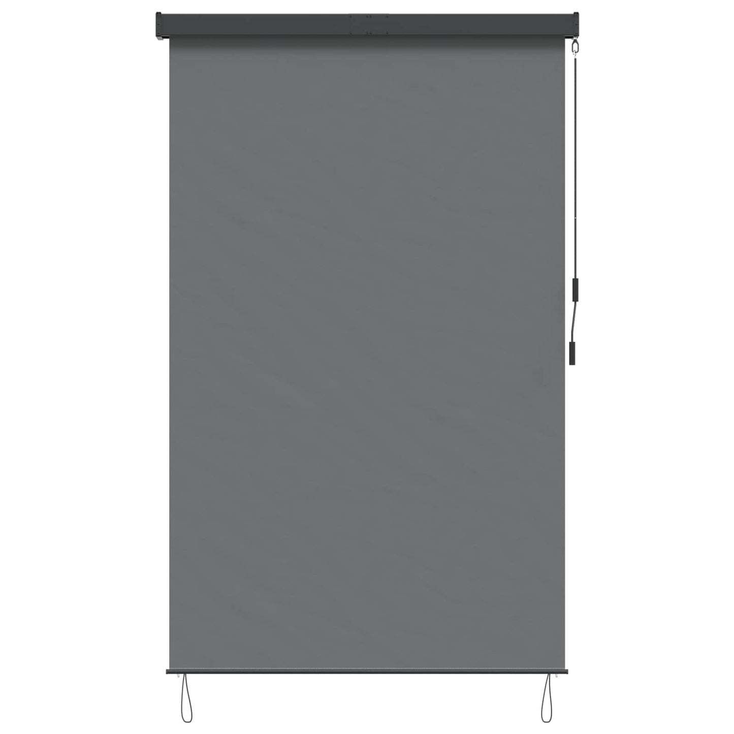 vidaXL Roller Blind Light Grey 60 x 250 cm Fabric and Aluminum