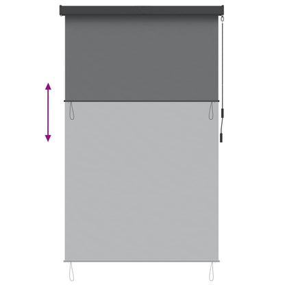 vidaXL Roller Blind Light Grey 60 x 250 cm Fabric and Aluminum