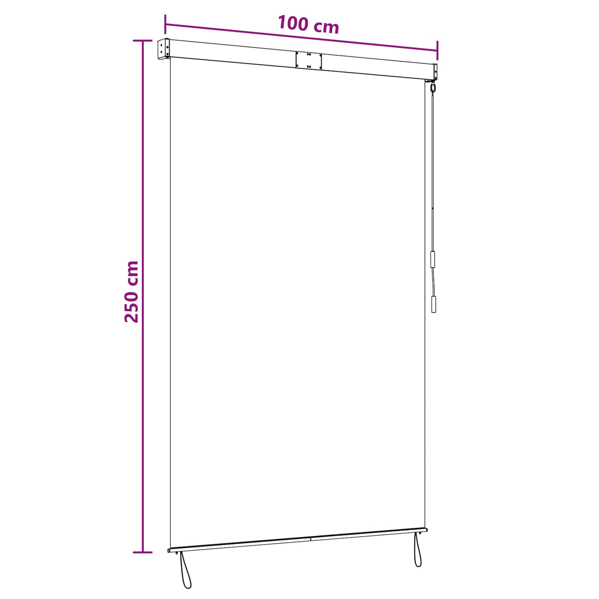 vidaXL Roller Blind Anthracite and White 100 x 250 cm