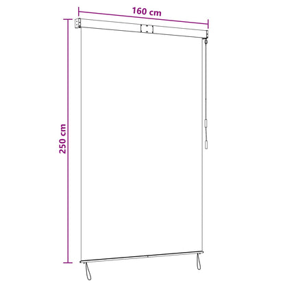 vidaXL Roller Blind Anthracite and White 160 x 250 cm