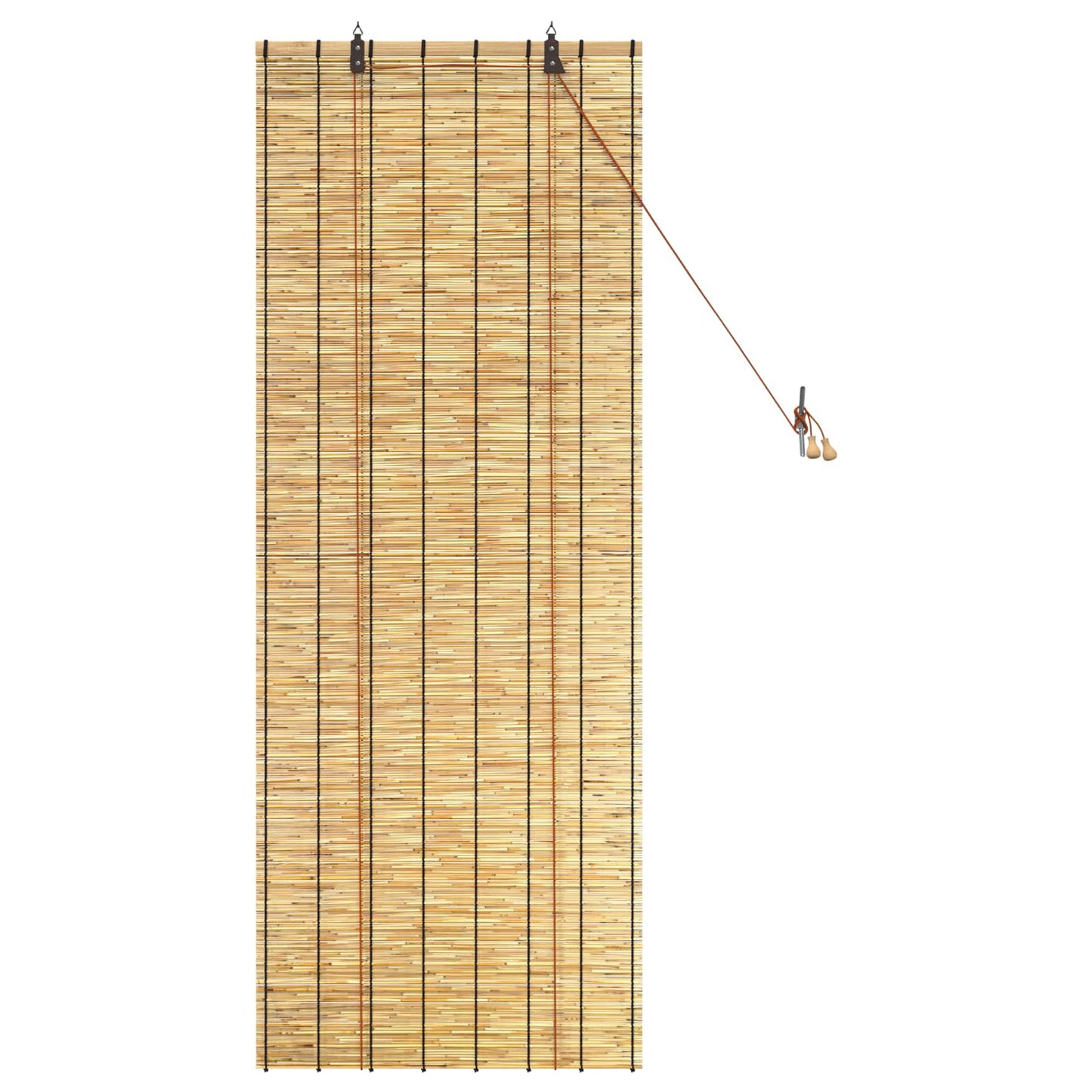 vidaXL Roller Blind Natural 60 x 160 cm Reed
