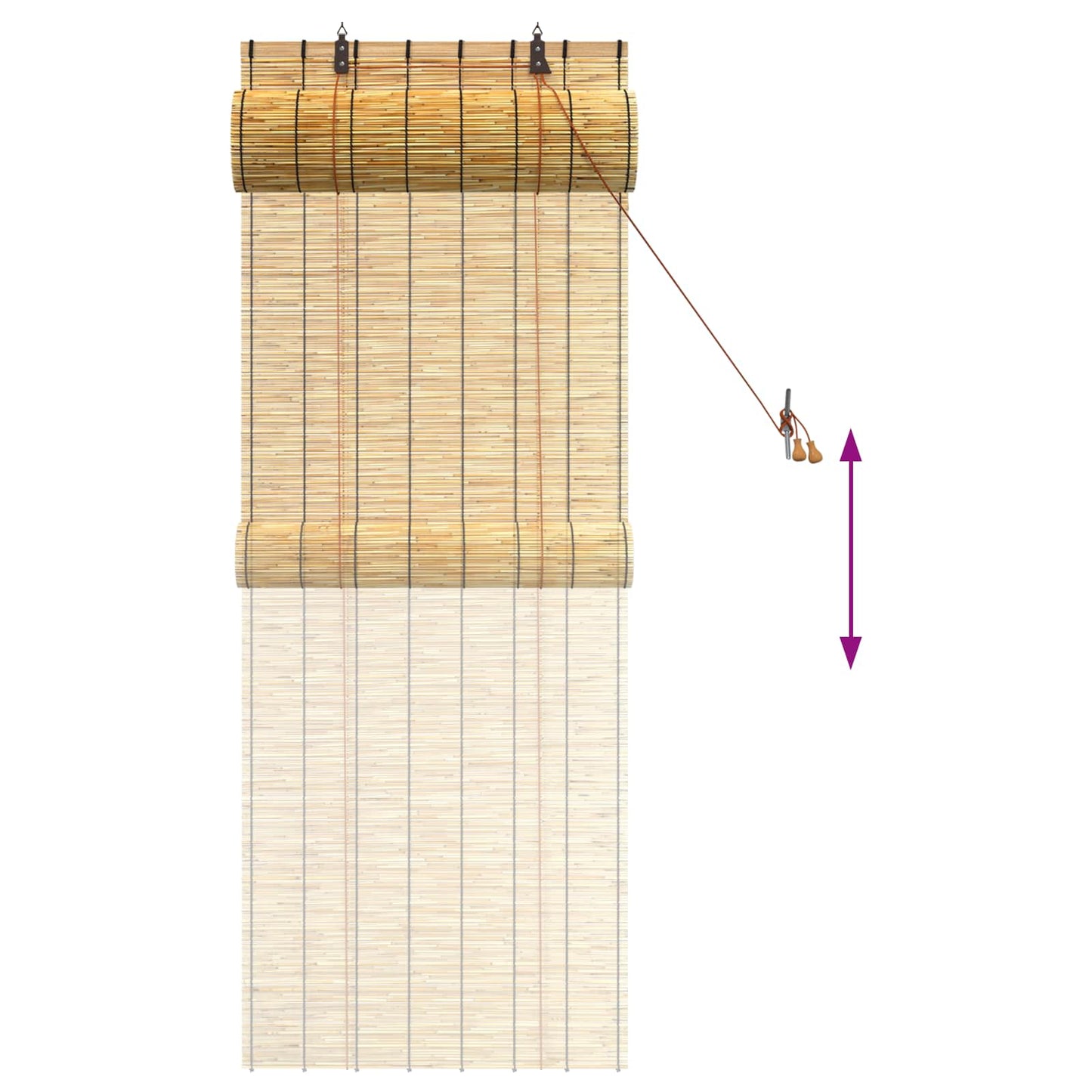 vidaXL Roller Blind Natural 60 x 160 cm Reed