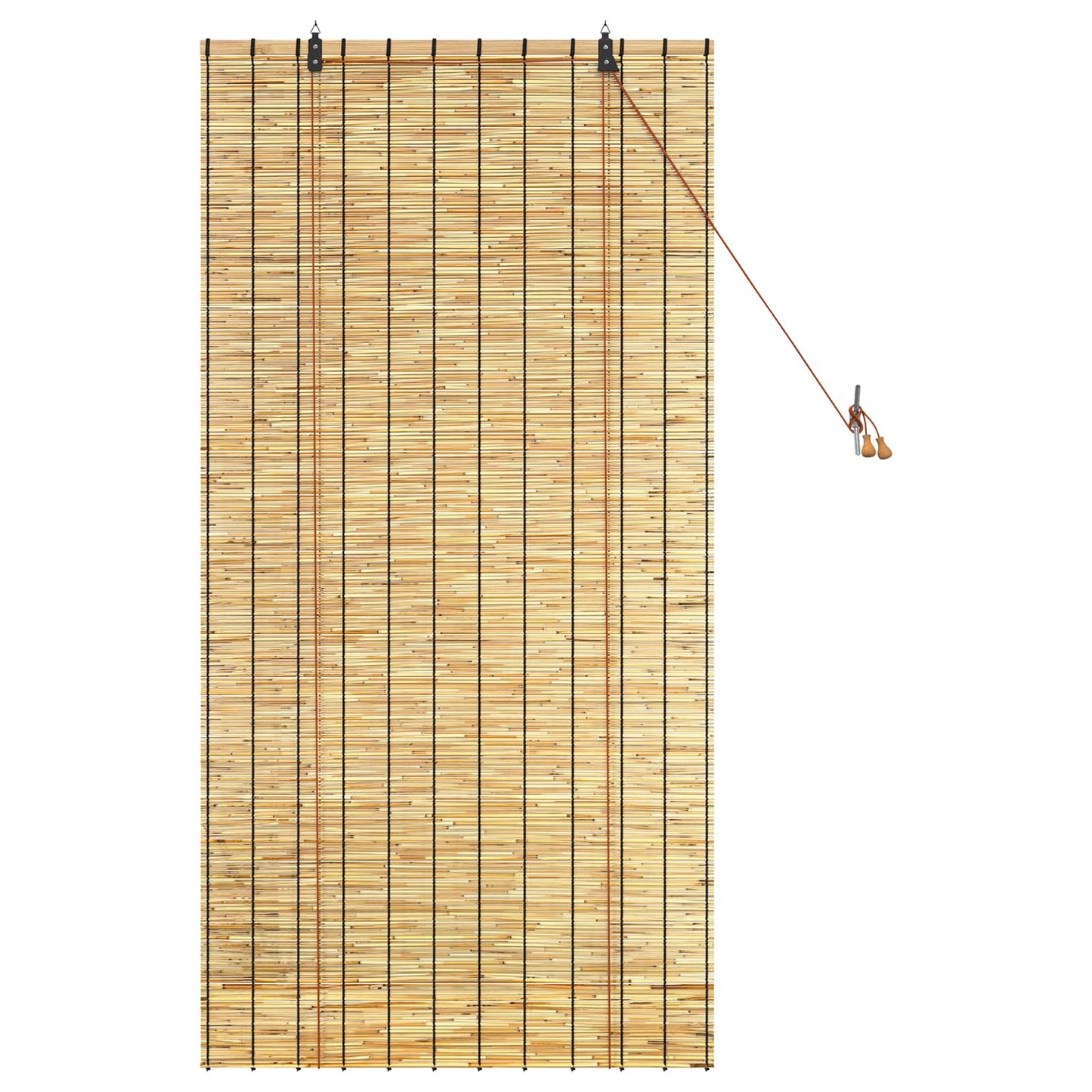 vidaXL Roller Blind Natural 80 x 160 cm Reed