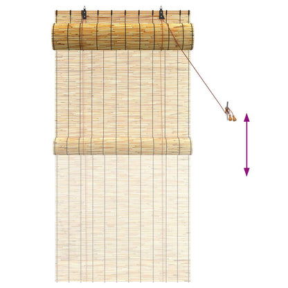 vidaXL Roller Blind Natural 80 x 160 cm Reed