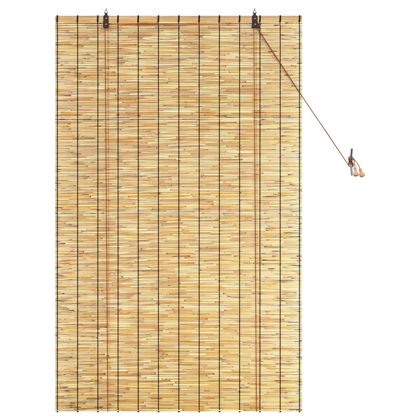 vidaXL Roller Blind Natural 100 x 160 cm Reed