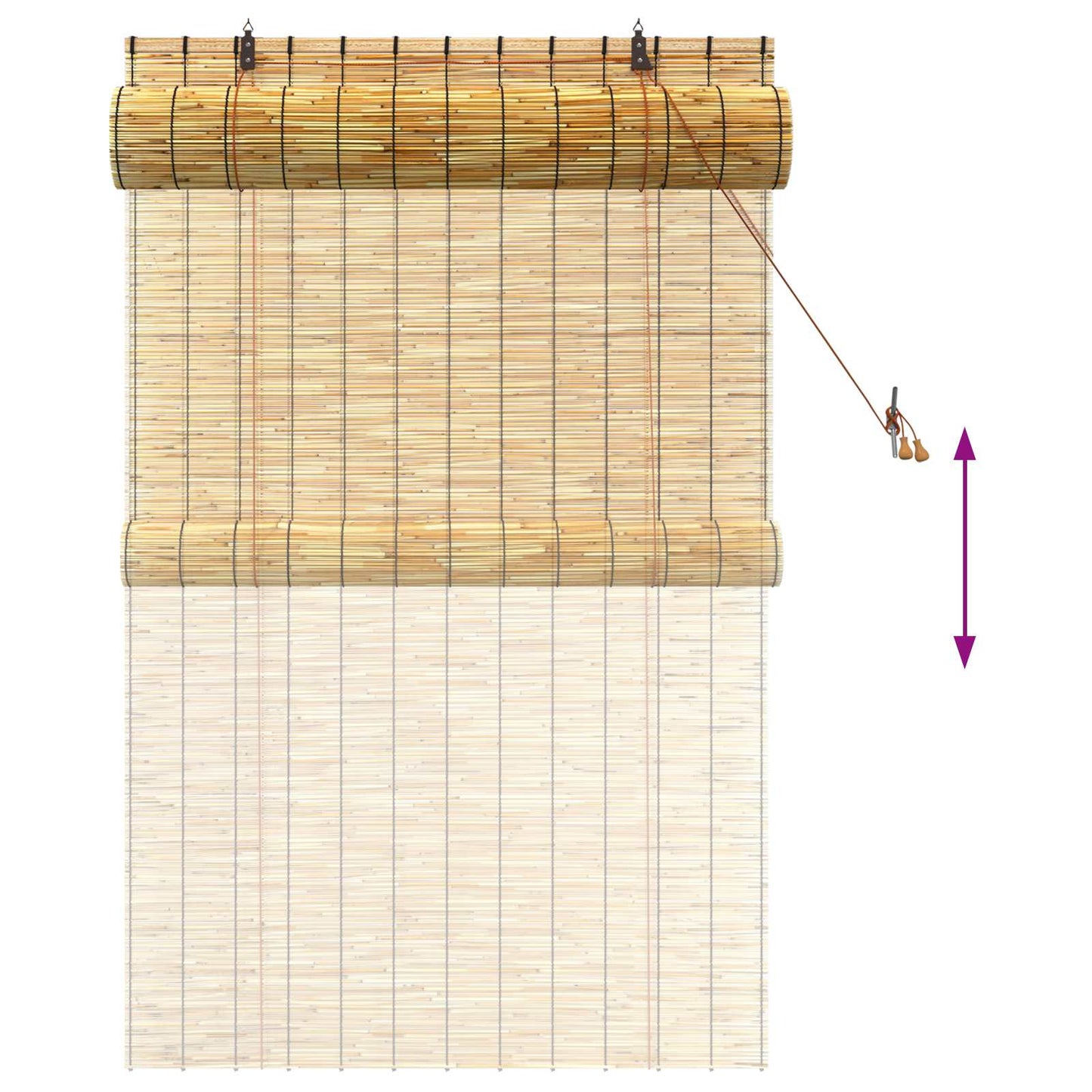 vidaXL Roller Blind Natural 100 x 160 cm Reed