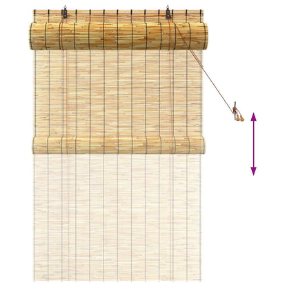 vidaXL Roller Blind Natural 100 x 160 cm Reed