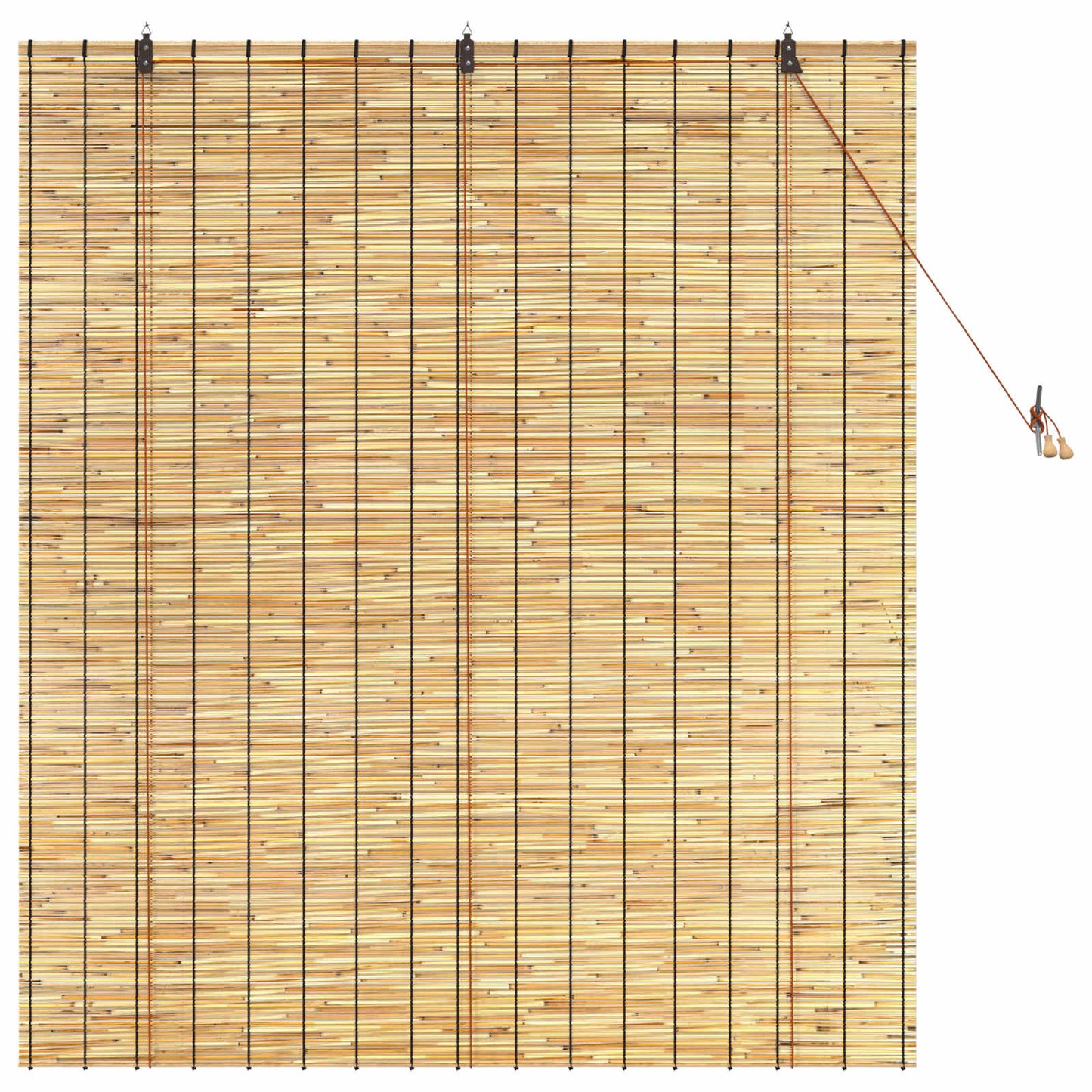 vidaXL Roller Blind Natural 140 x 160 cm Reed