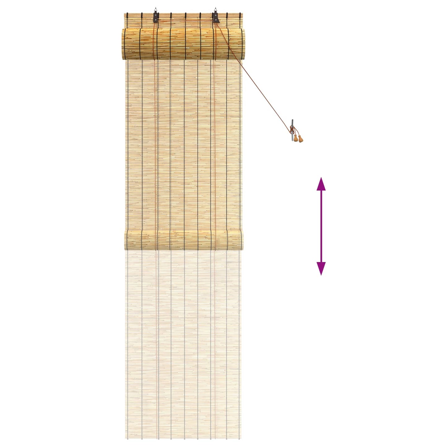 vidaXL Roller Blind Natural 60 x 220 cm Reed