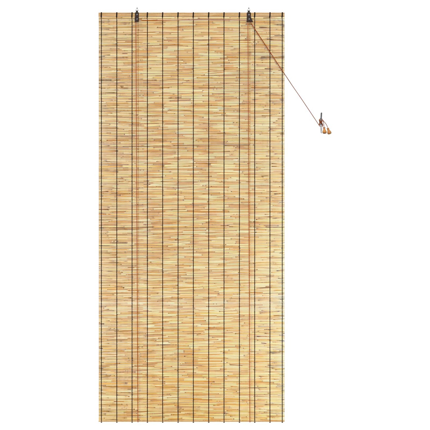 vidaXL Roller Blind Natural 100 x 220 cm Reed