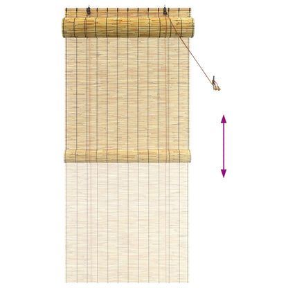 vidaXL Roller Blind Natural 100 x 220 cm Reed