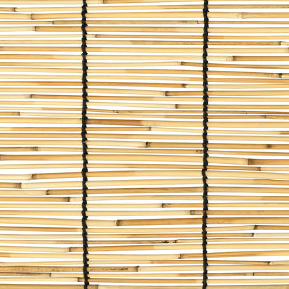 vidaXL Roller Blind Natural 100 x 220 cm Reed