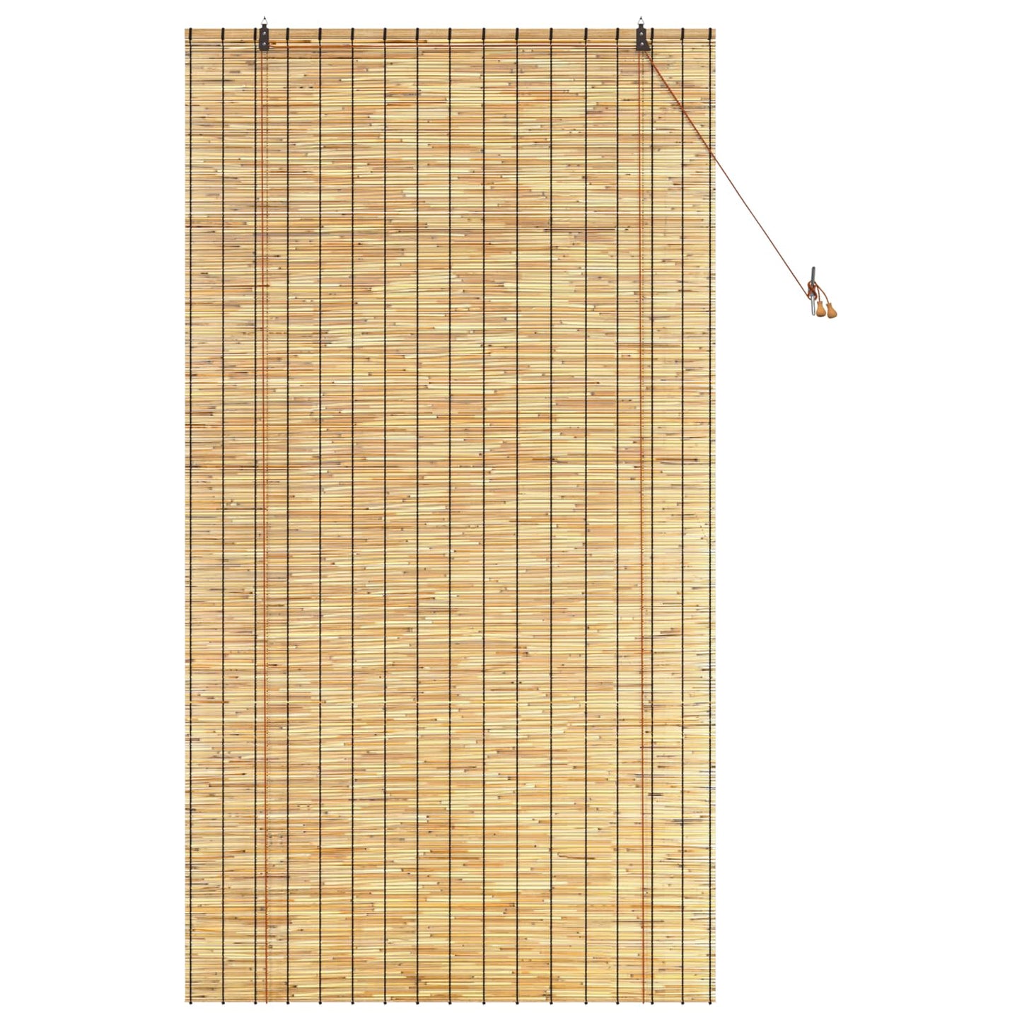 vidaXL Roller Blind Natural 120 x 220 cm Reed