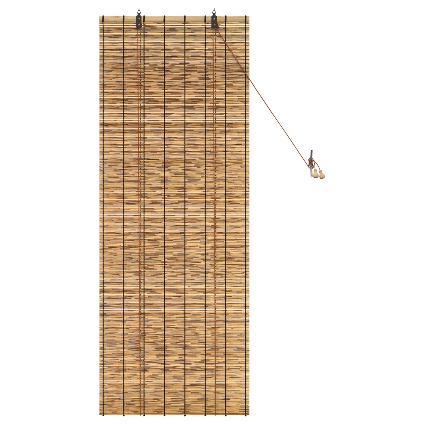 vidaXL Roller Blind Brown 60 x 160 cm Reed