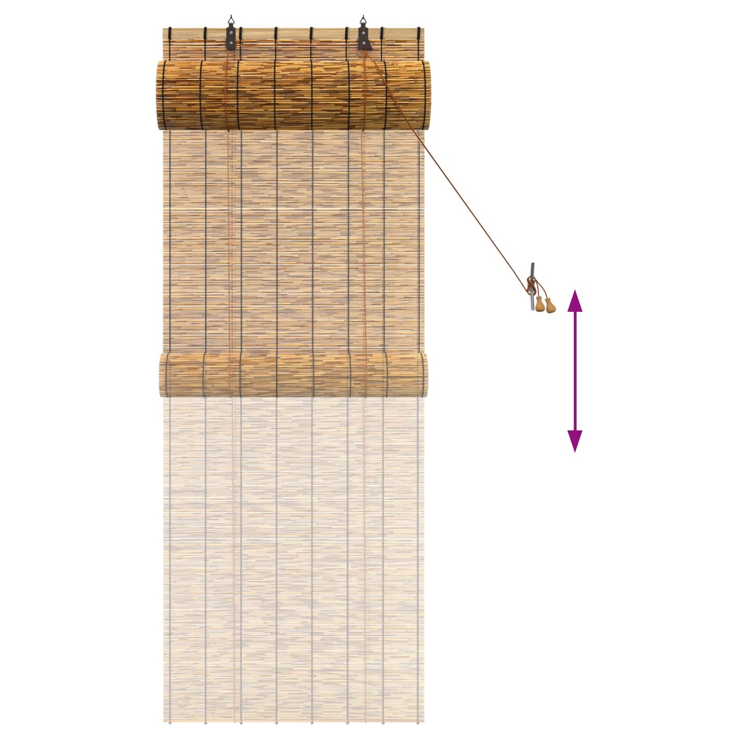 vidaXL Roller Blind Brown 60 x 160 cm Reed