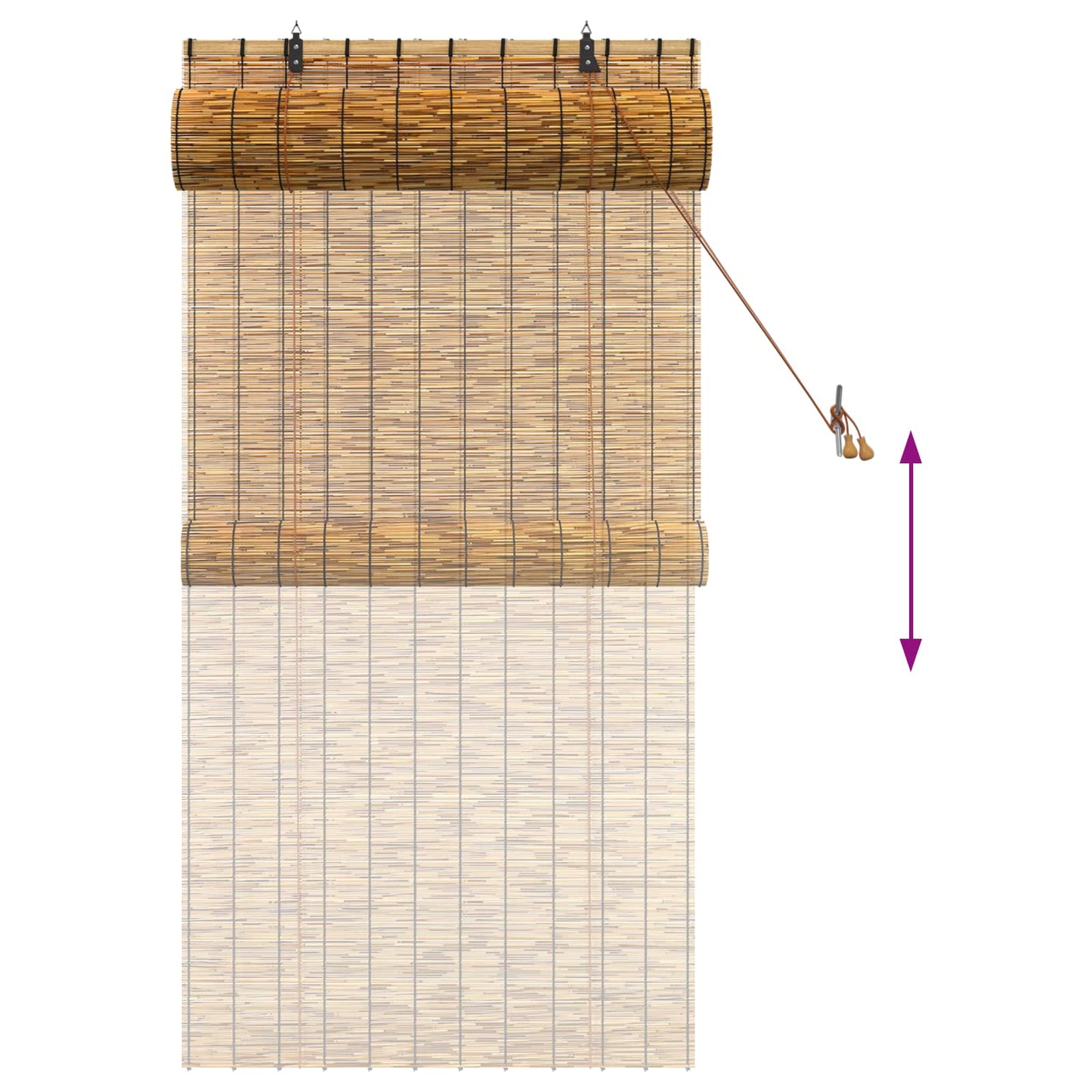 vidaXL Roller Blind Brown 80 x 160 cm Reed