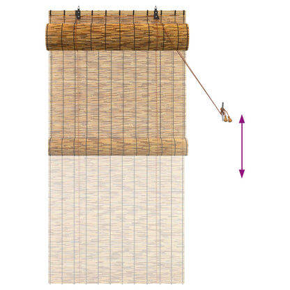 vidaXL Roller Blind Brown 80 x 160 cm Reed