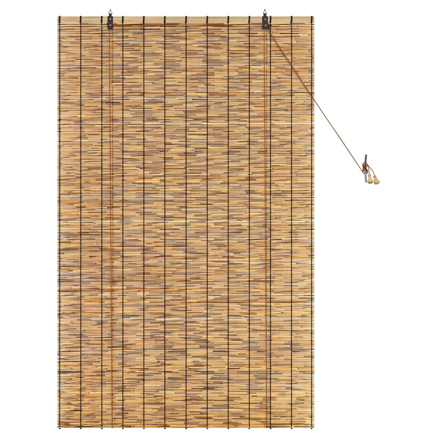 vidaXL Roller Blind Brown 100 x 160 cm Reed