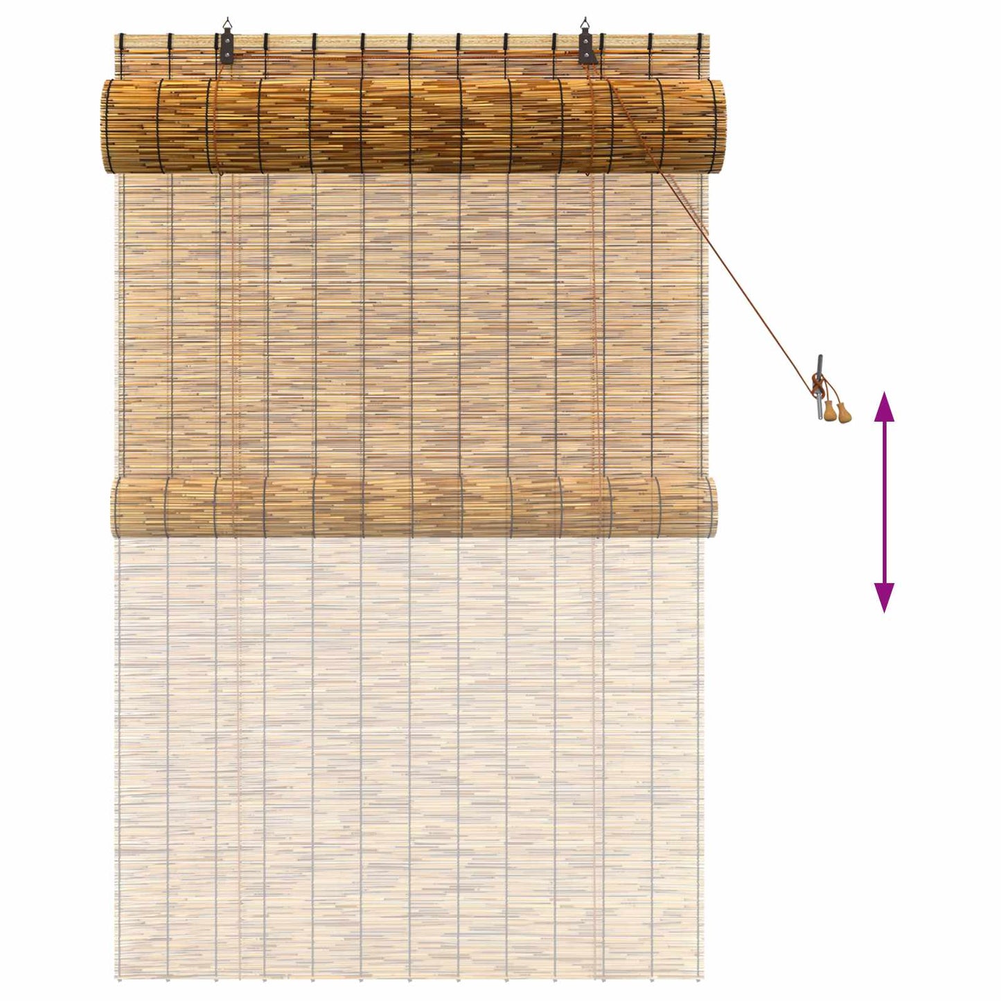 vidaXL Roller Blind Brown 100 x 160 cm Reed