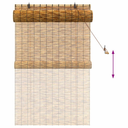 vidaXL Roller Blind Brown 100 x 160 cm Reed